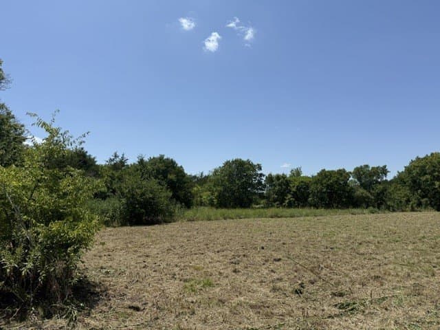 15.03 acres in Hunt County - photo 6