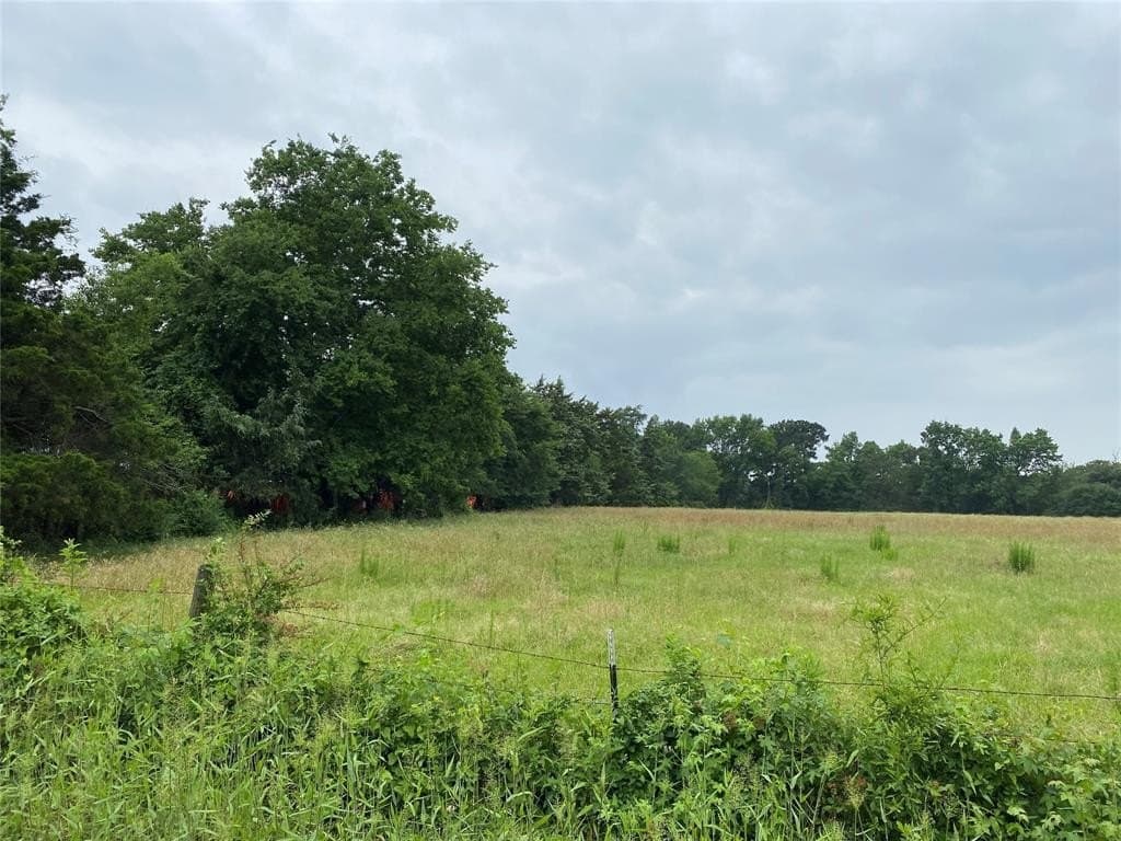 50 acres in Wood County gallery image 2