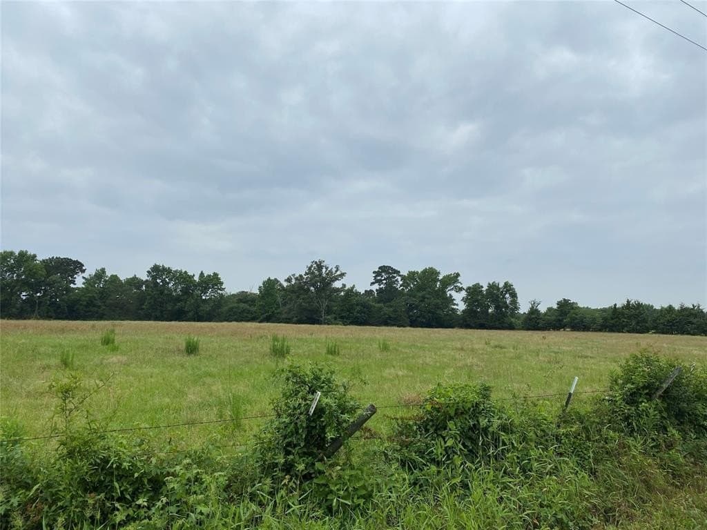 50 acres in Wood County gallery image 3