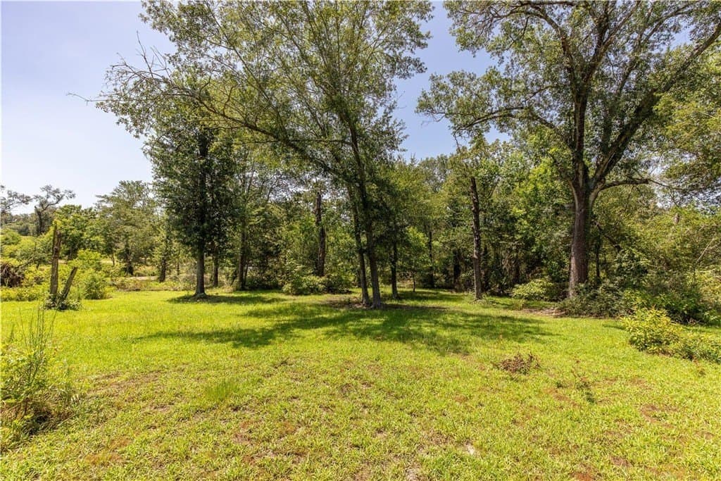5.75 acres in AUSTIN County - photo 24