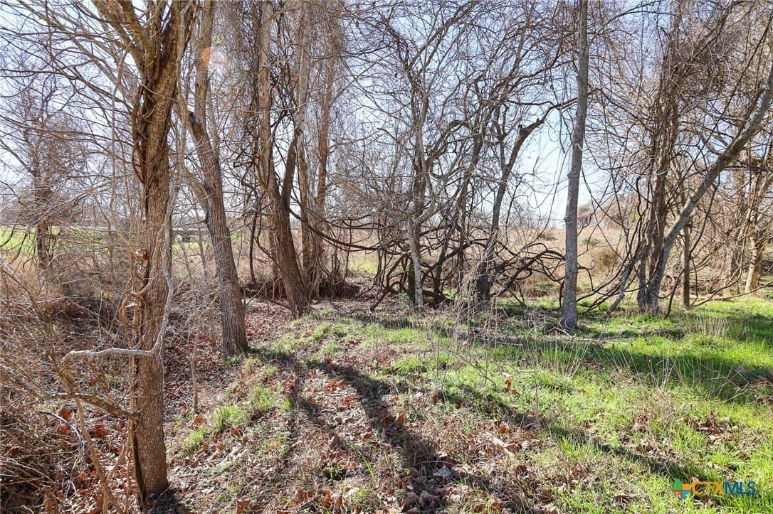 4.9 acres in Lavaca County - photo 4