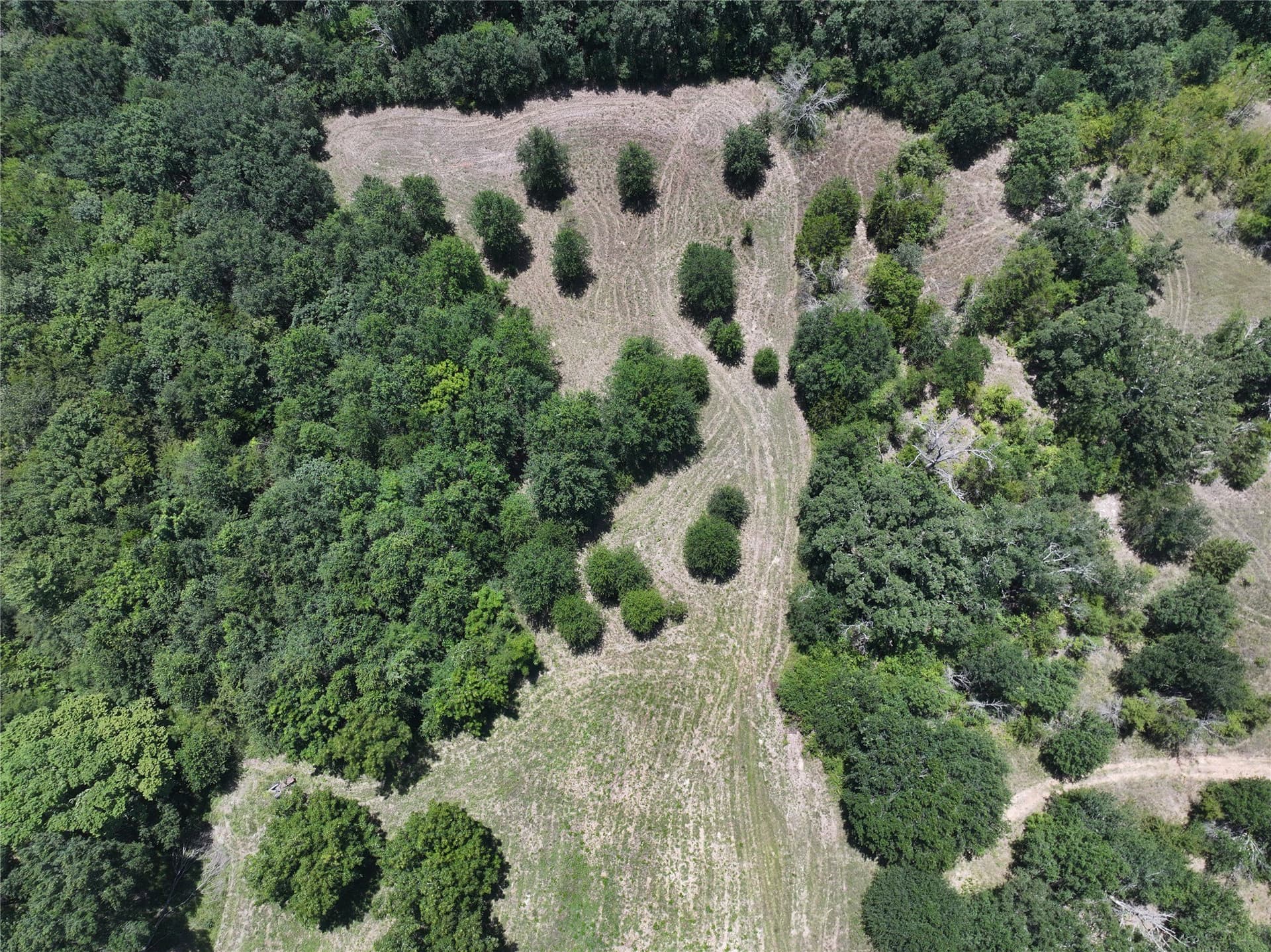 9.72 acres in Kaufman County gallery image 3
