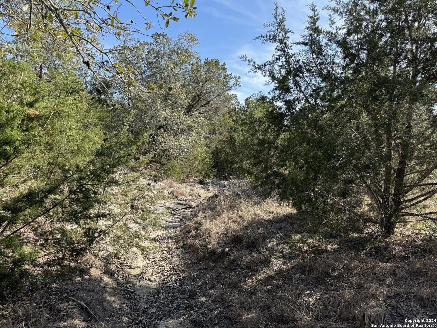 12.09 acres in Blanco County gallery image 2