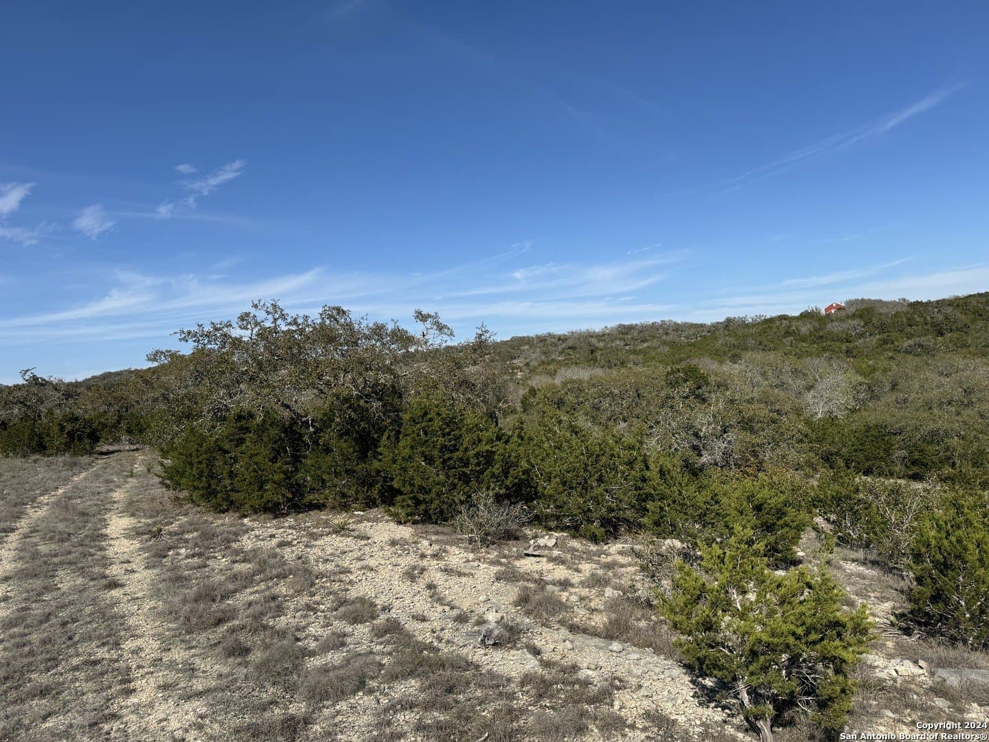 12.09 acres in Blanco County - photo 10