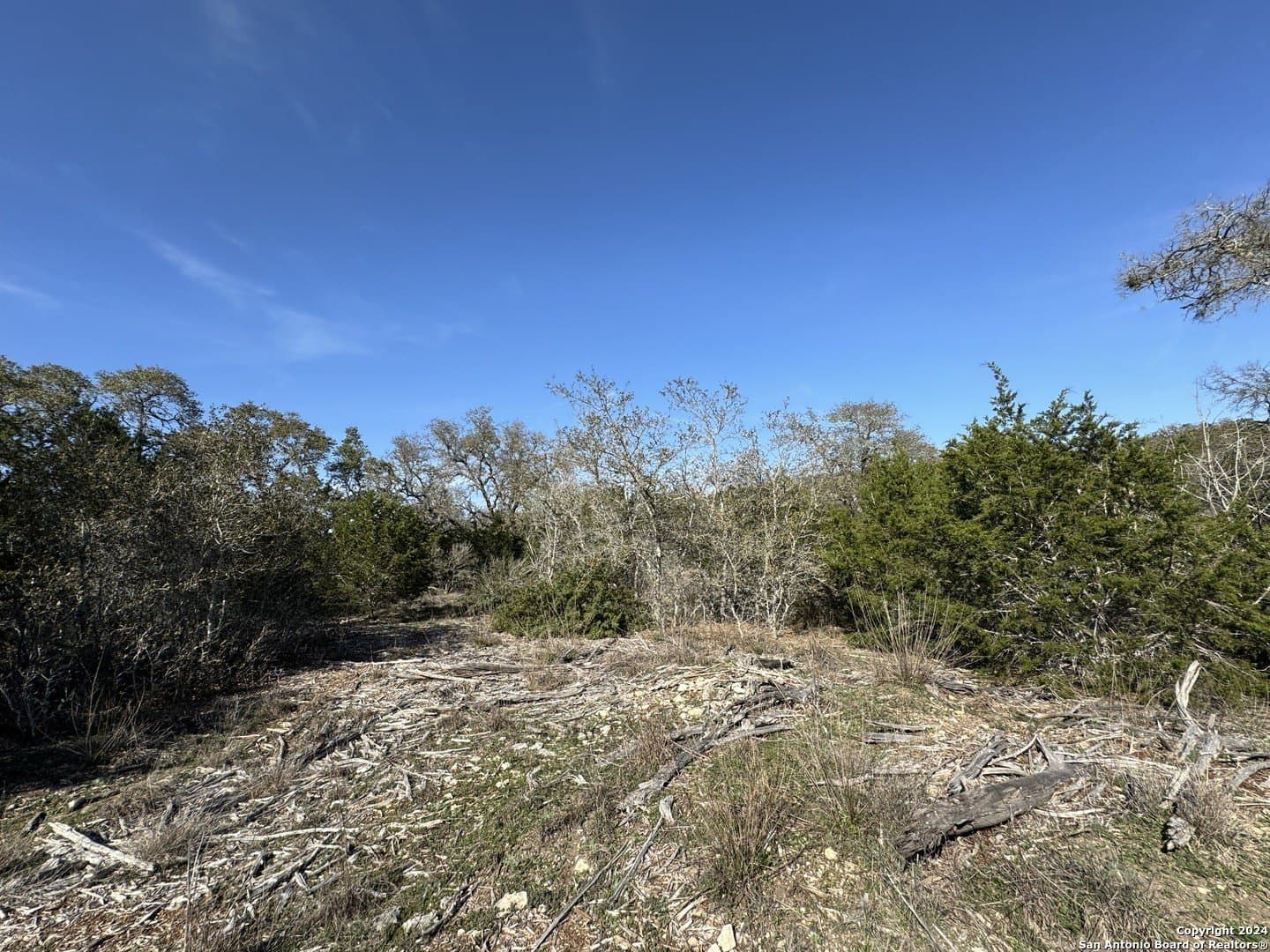 12.09 acres in Blanco County gallery image 3