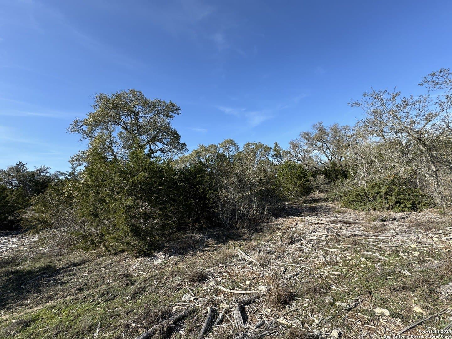 12.09 acres in Blanco County gallery image 4