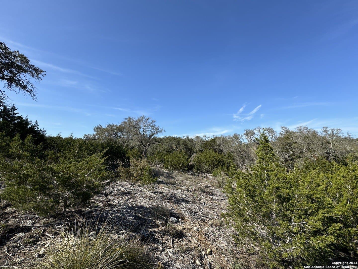 12.09 acres in Blanco County - photo 8