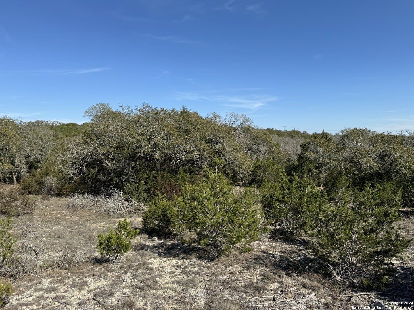 12.09 acres in Blanco County - photo 12