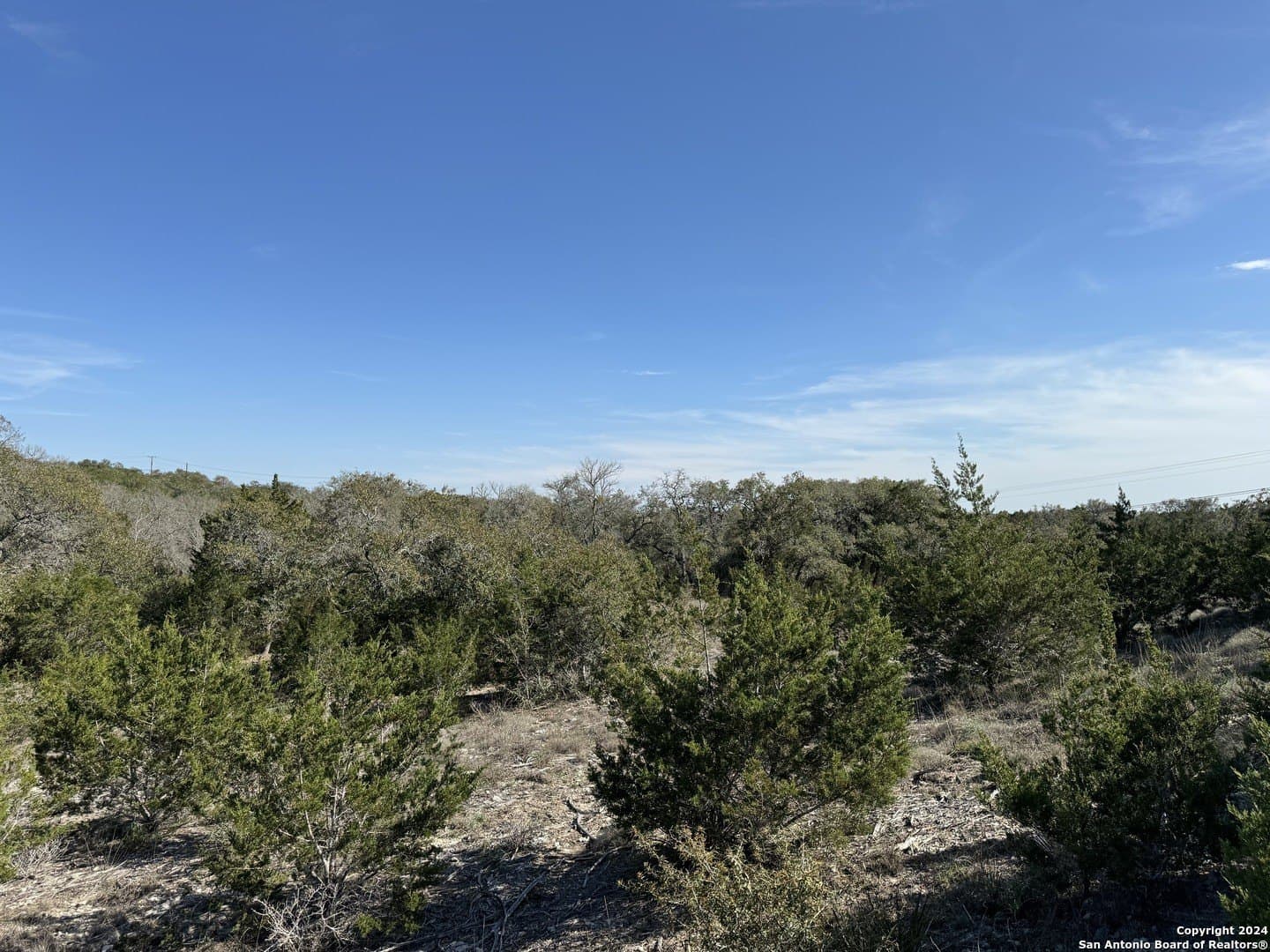 12.09 acres in Blanco County - photo 11