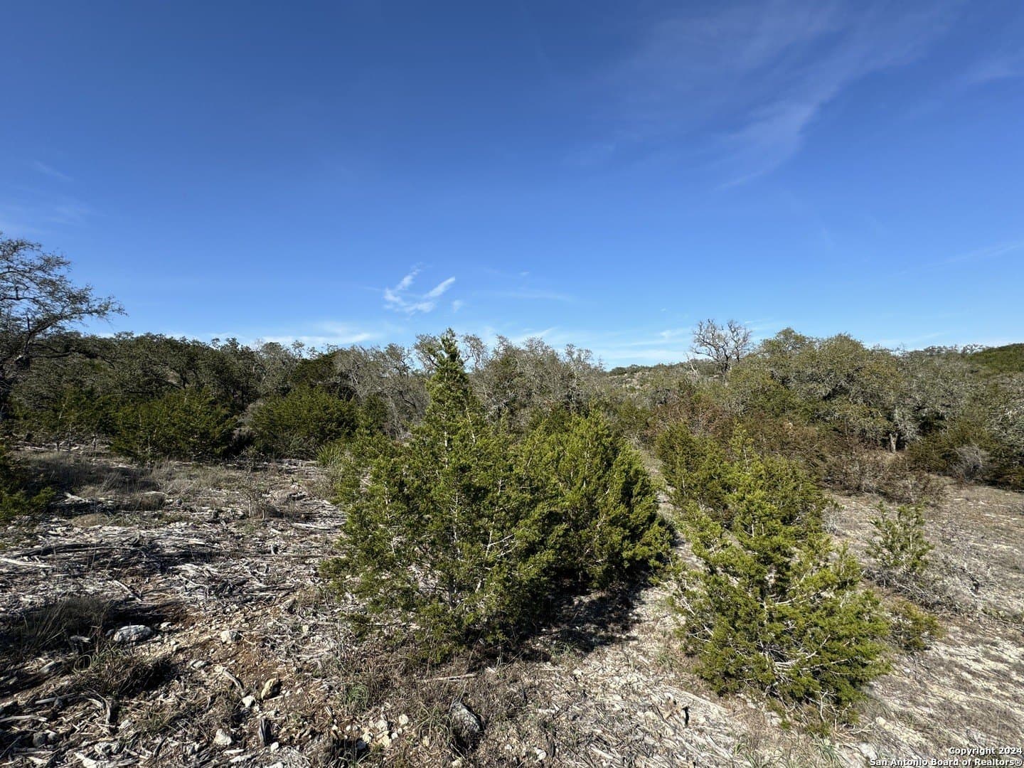12.09 acres in Blanco County - photo 6