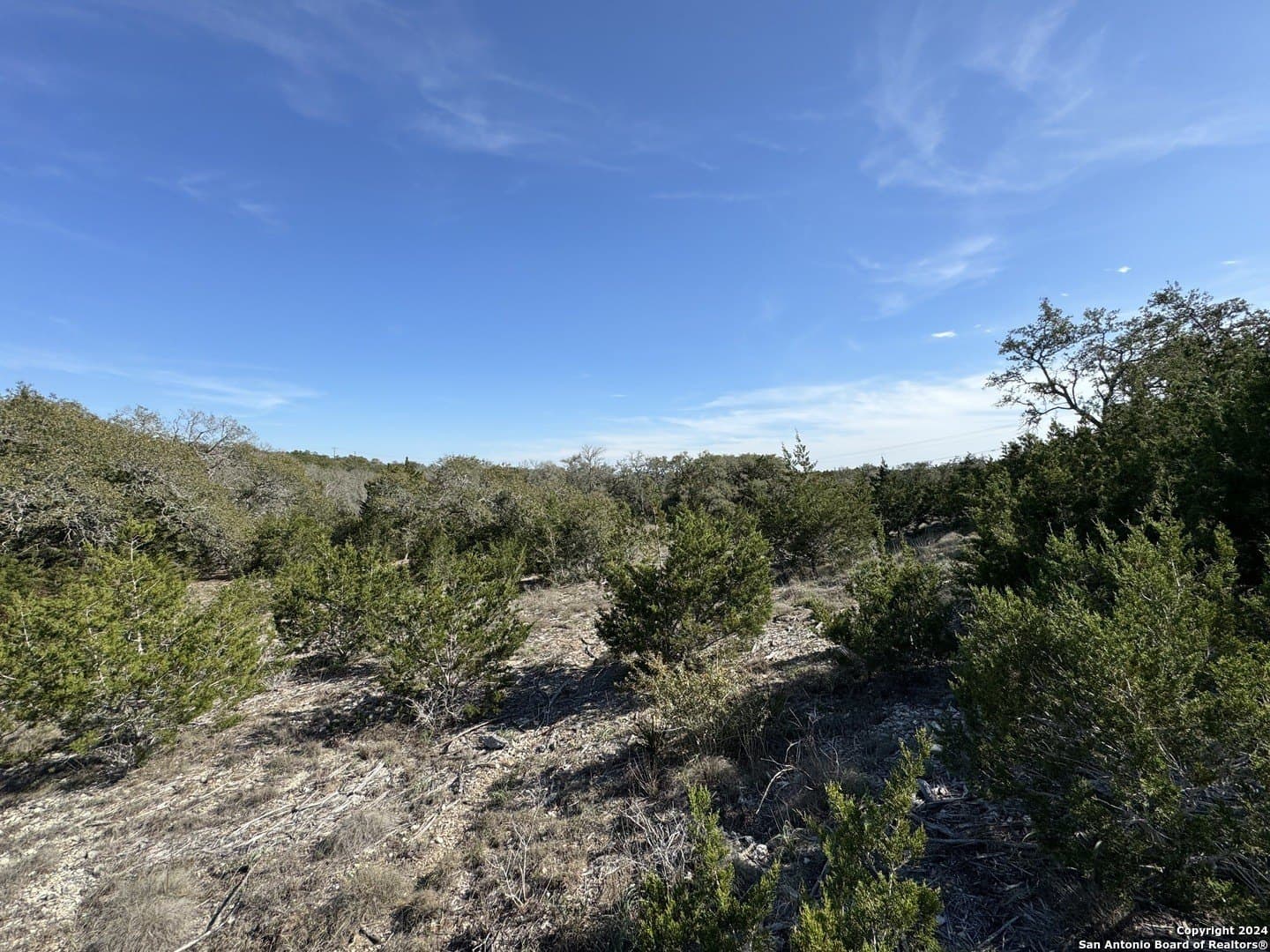12.09 acres in Blanco County - photo 7