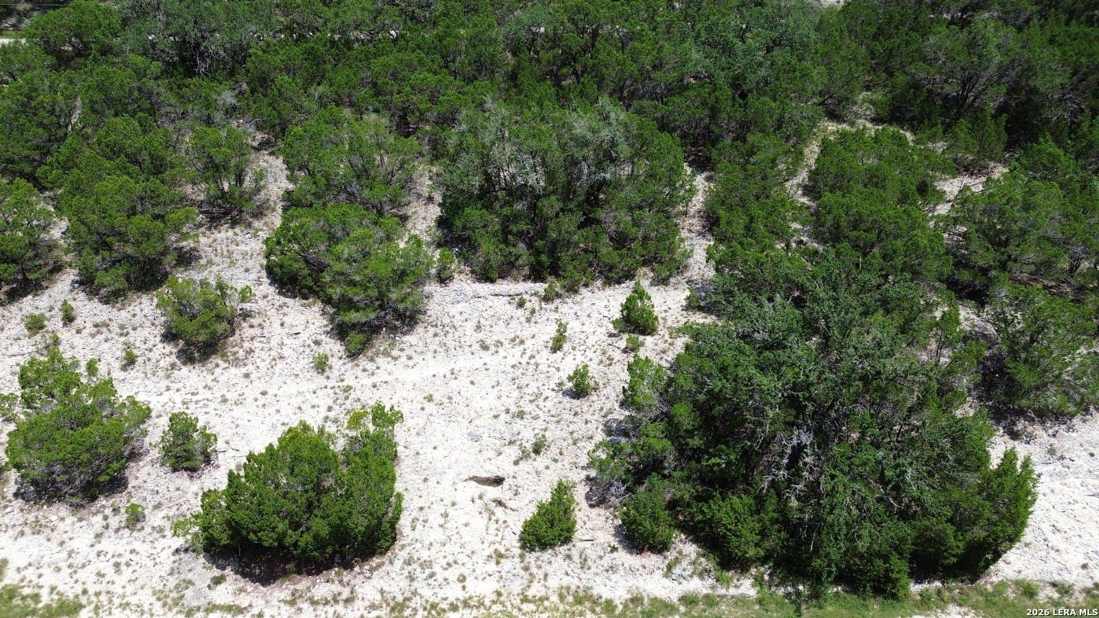 0.15 acres in Comal County gallery image 3