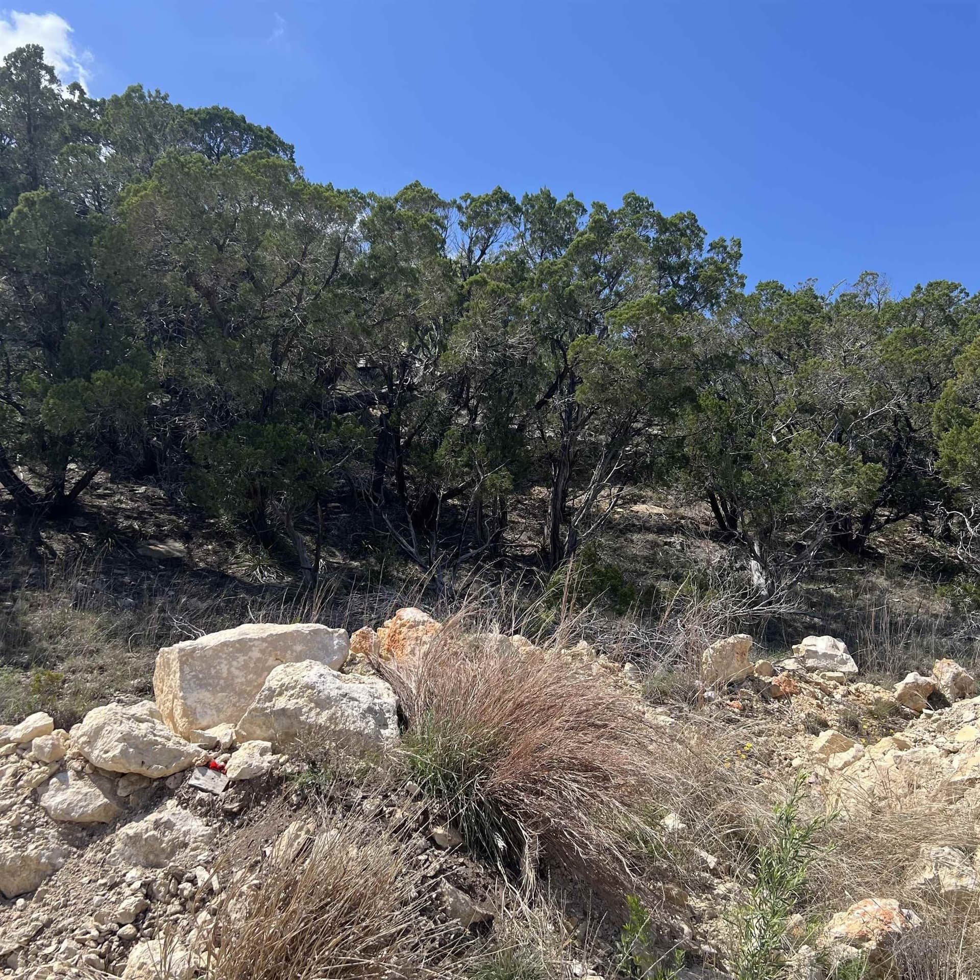 0.51 acres in Travis County gallery image 4