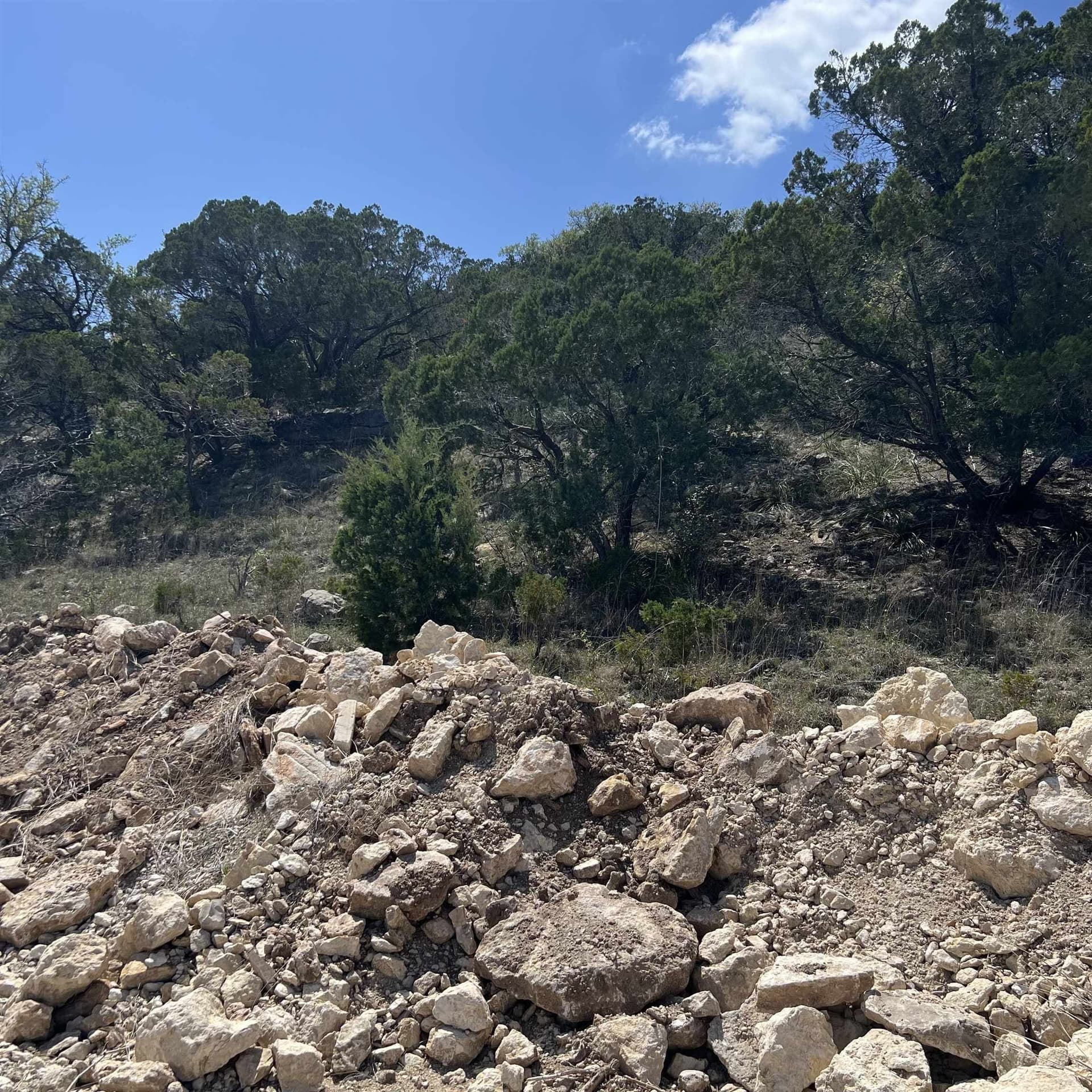 0.51 acres in Travis County gallery image 3