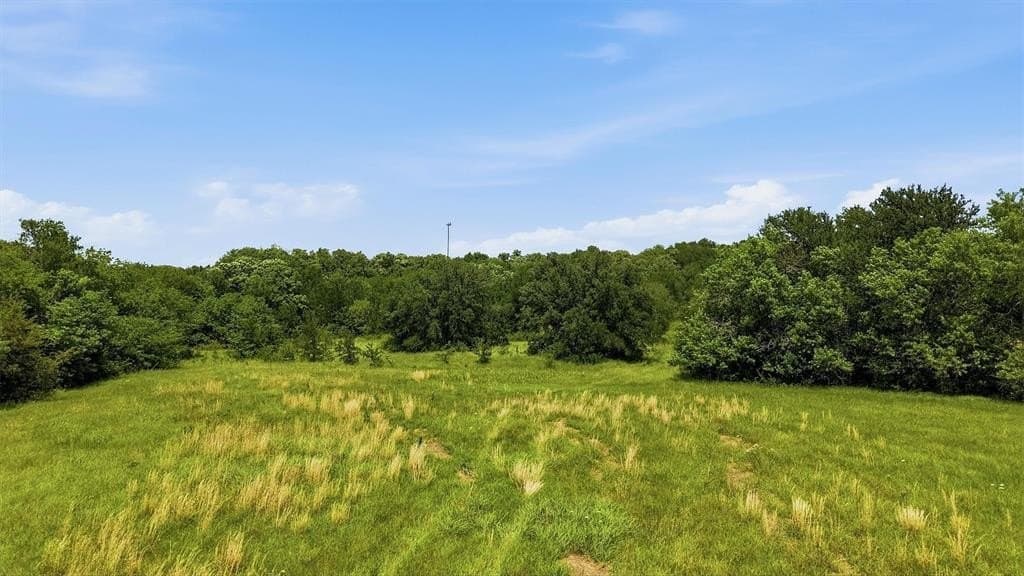 6.6 acres in Grayson County gallery image 4