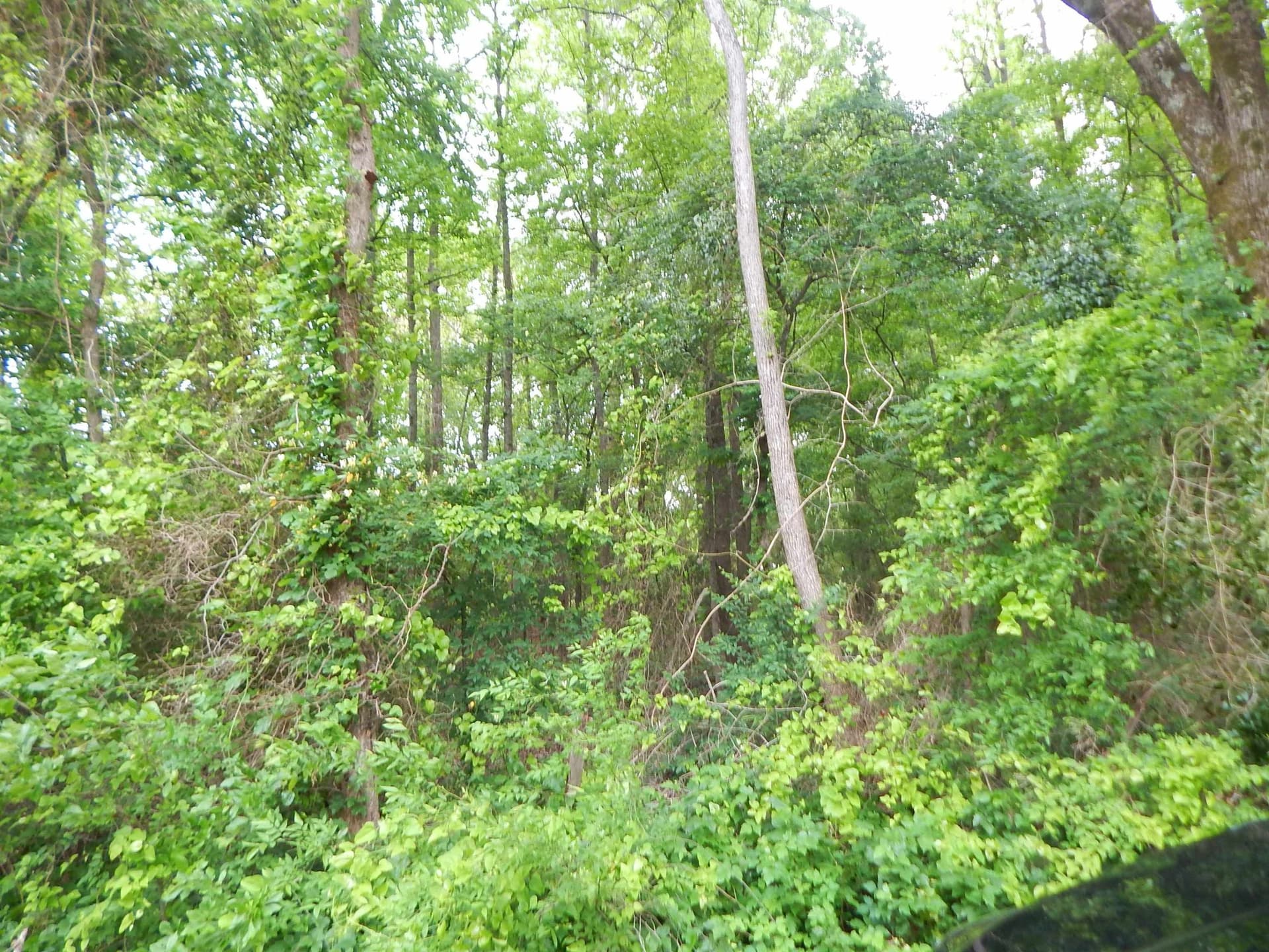 3.07 acres in Upshur County - photo 7