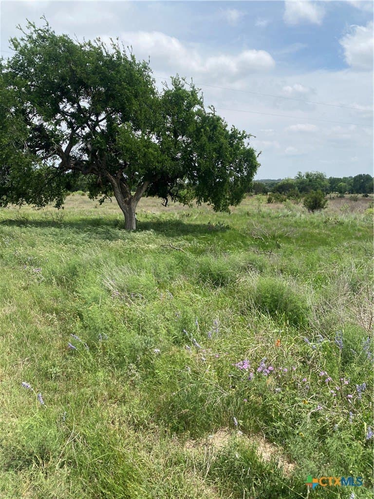 1.62 acres in Lampasas County - photo 4