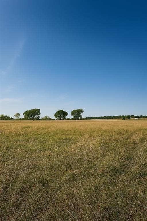 210.69 acres in Hill County gallery image 3