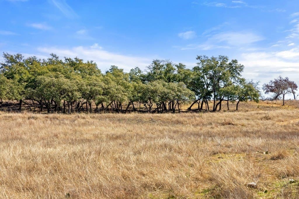 12.97 acres in Blanco County - photo 32