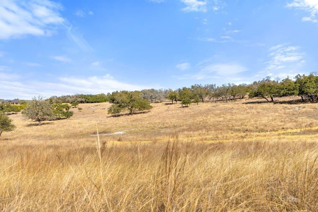12.97 acres in Blanco County - photo 25