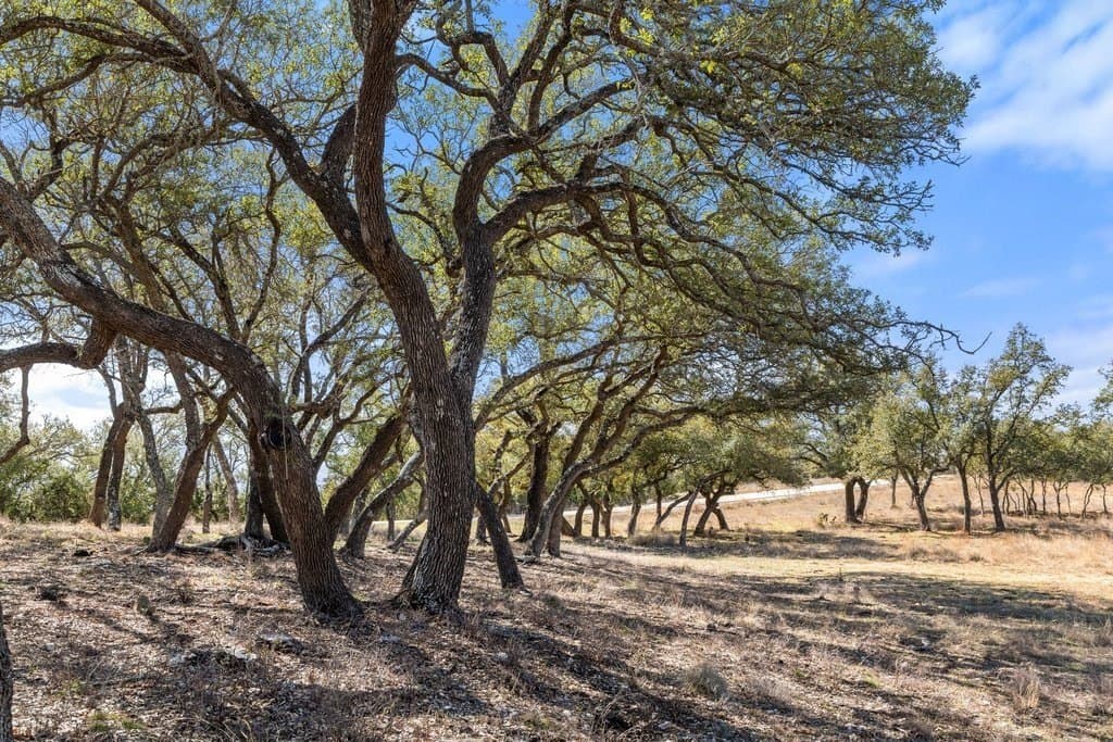 12.97 acres in Blanco County - photo 23