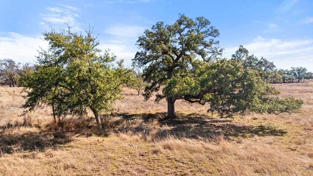 12.97 acres in Blanco County - photo 12
