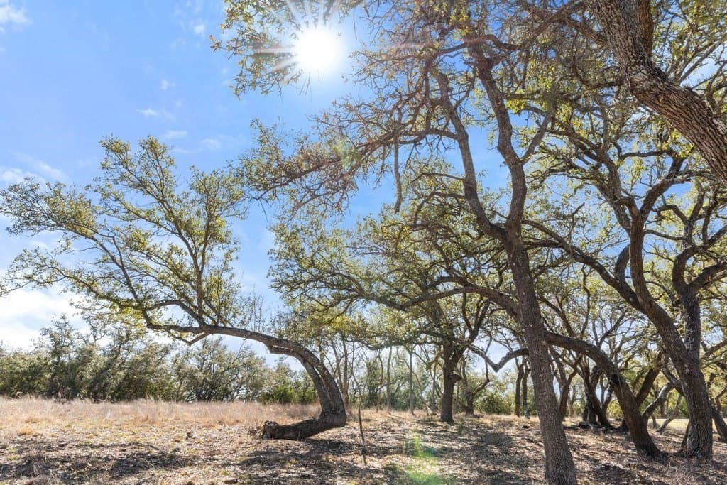 12.97 acres in Blanco County - photo 22