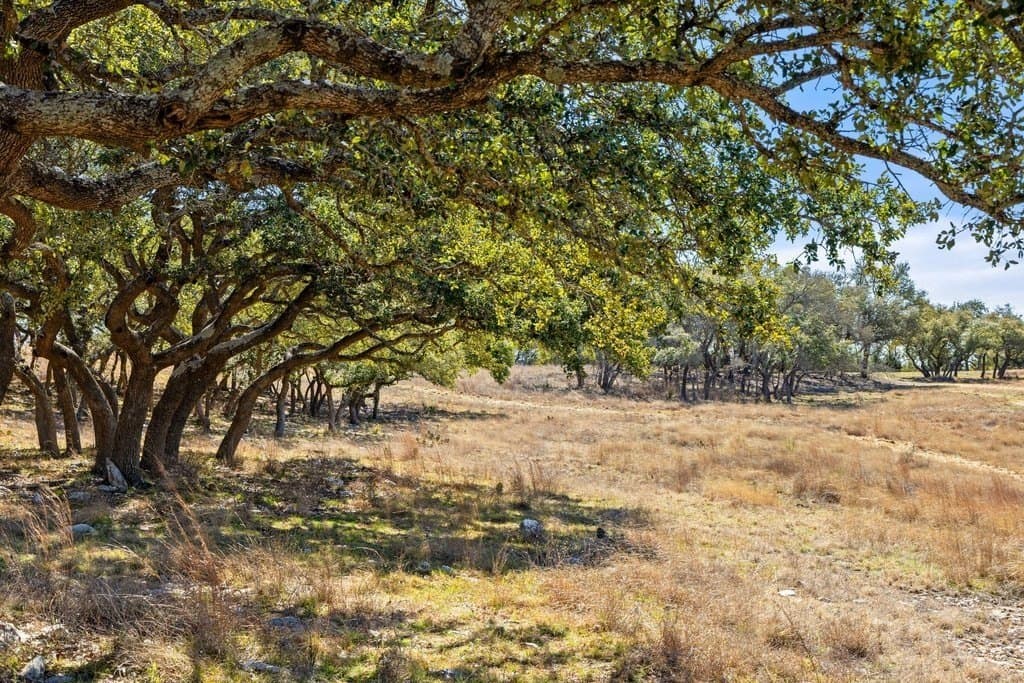 12.97 acres in Blanco County - photo 34