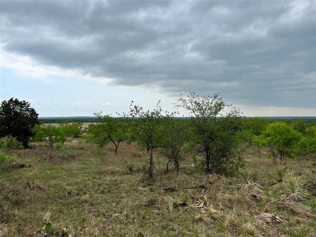 157.78 acres in Comanche County gallery image 4