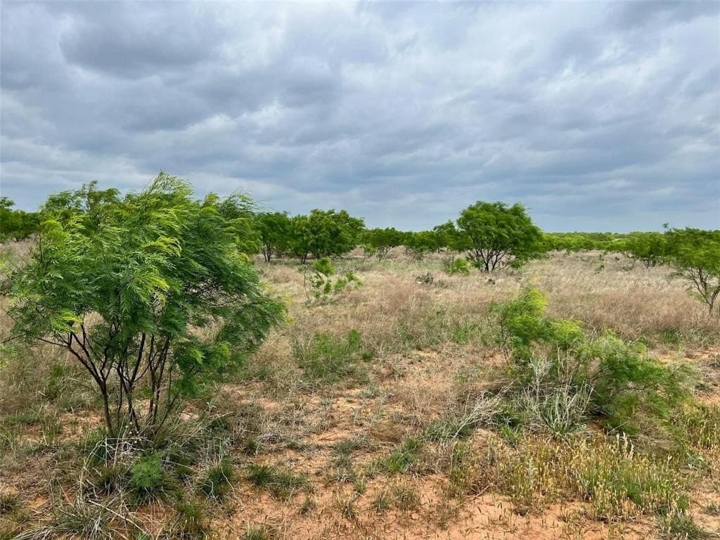 157.78 acres in Comanche County featured view