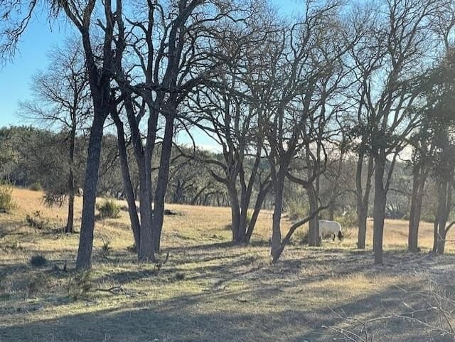 14.83 acres in Gillespie County featured view