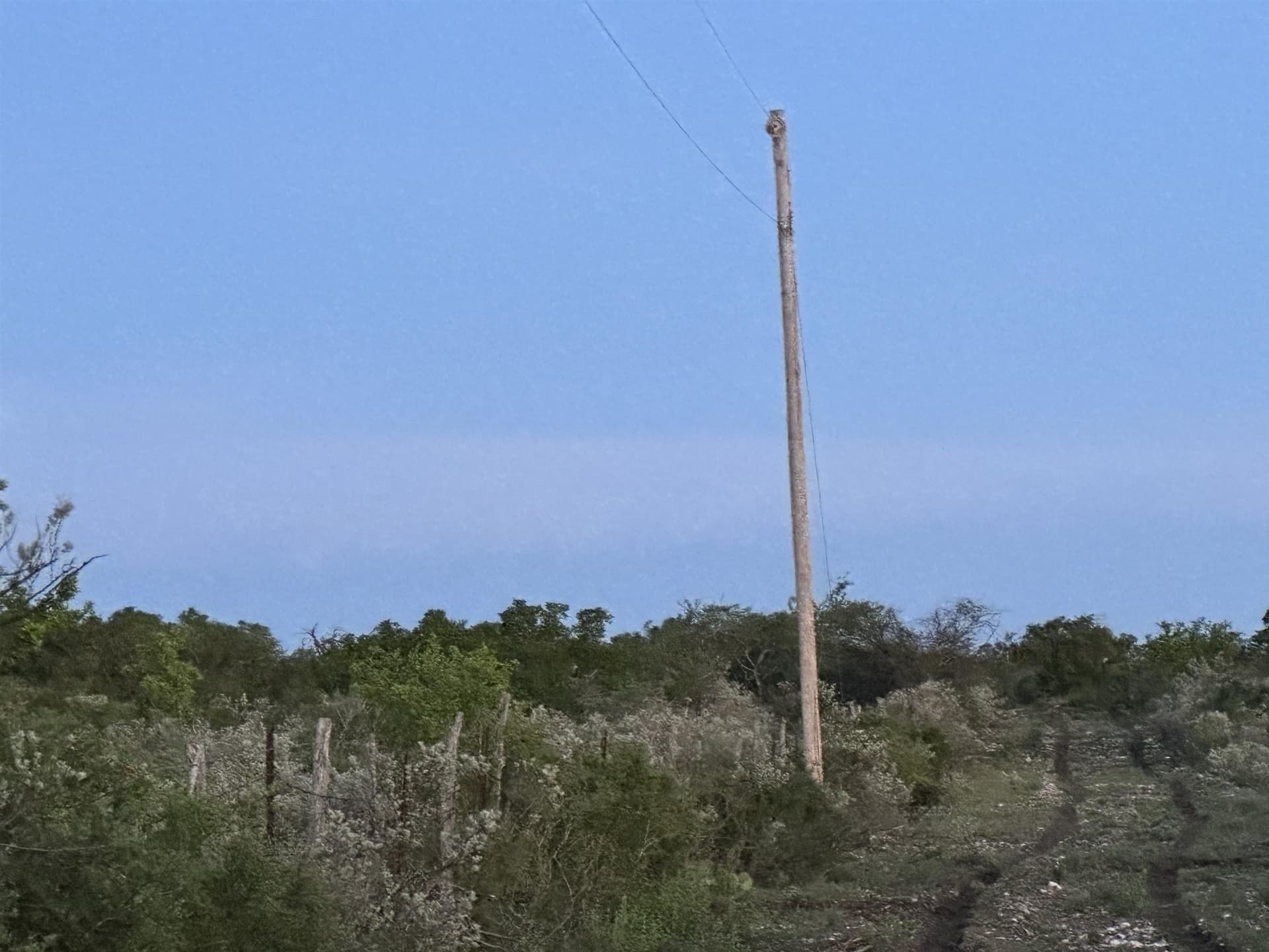 12.97 acres in Val Verde County gallery image 4