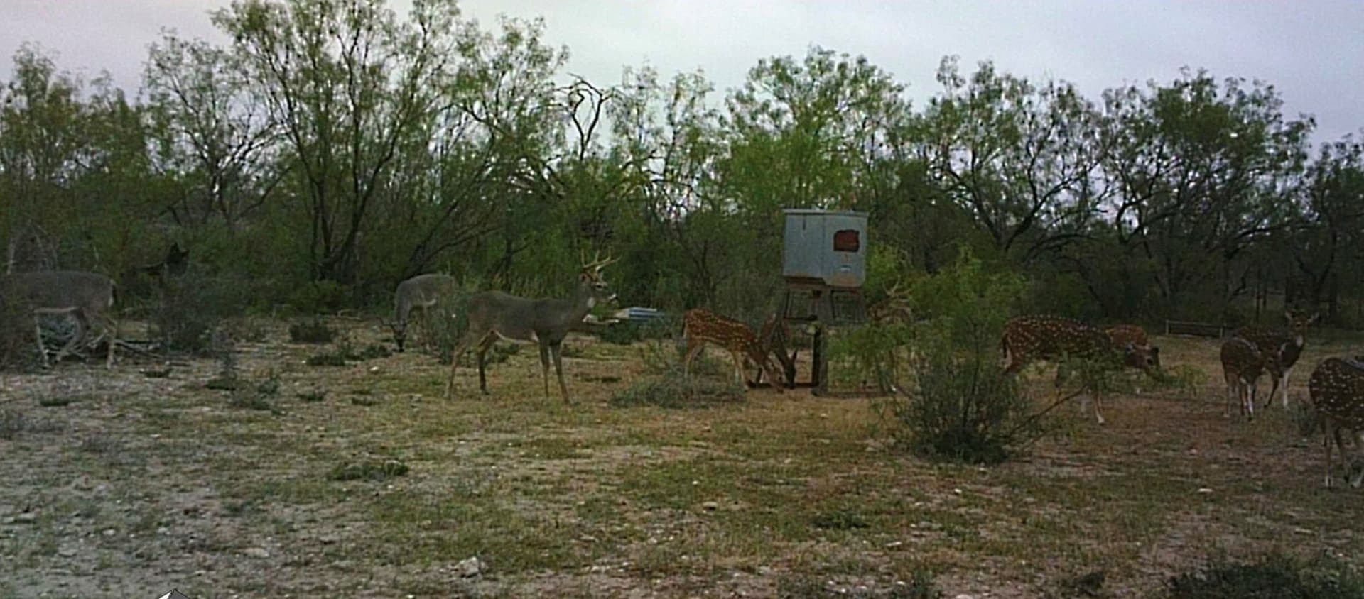 12.97 acres in Val Verde County gallery image 3