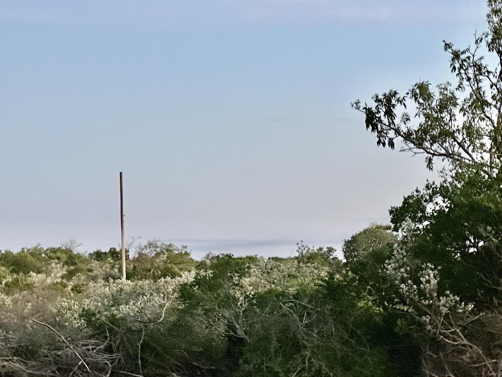 12.97 acres in Val Verde County featured view