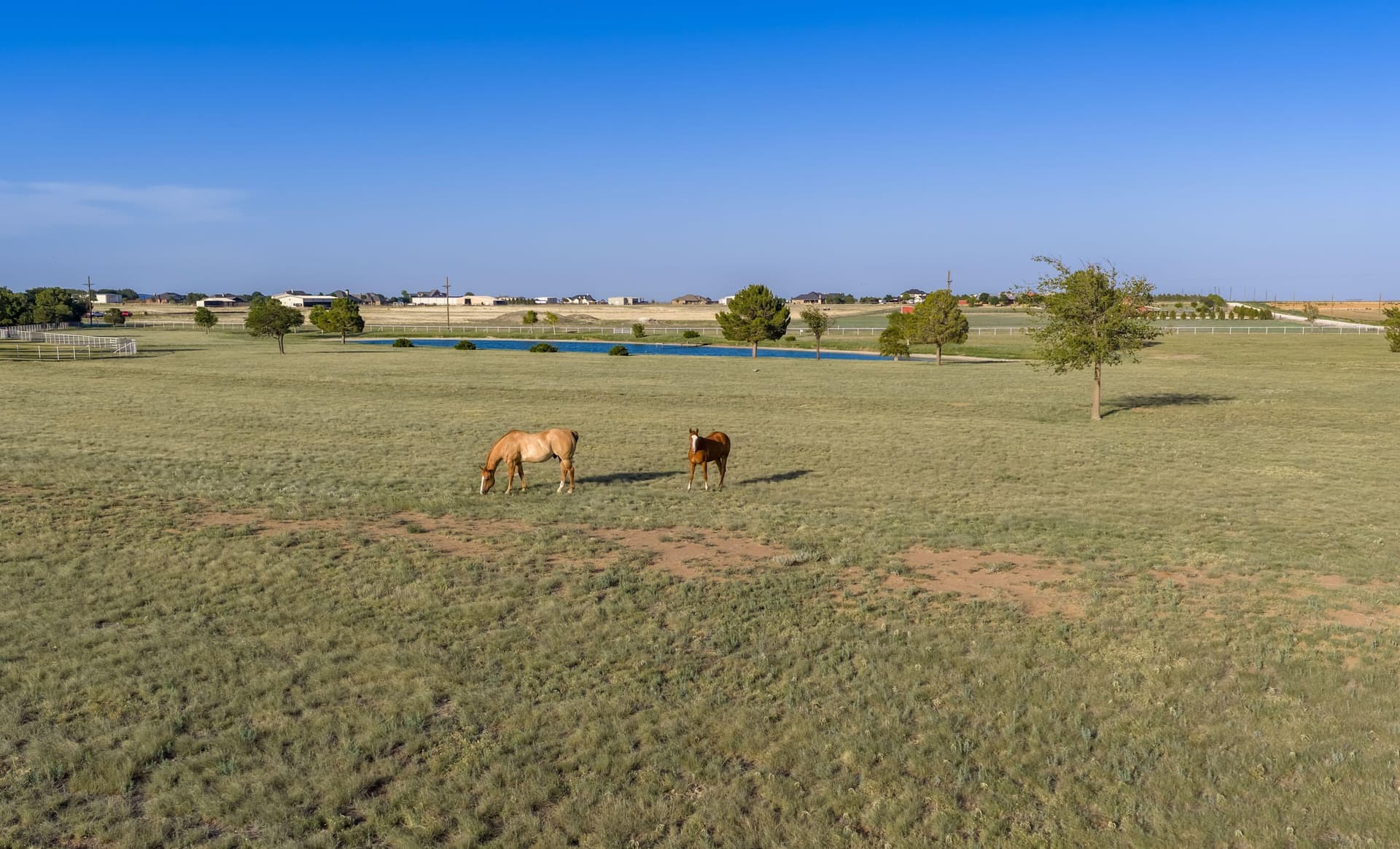 387.28 acres in Lynn County - photo 99