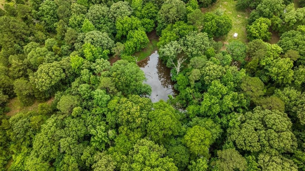 14.12 acres in Texas County - photo 8