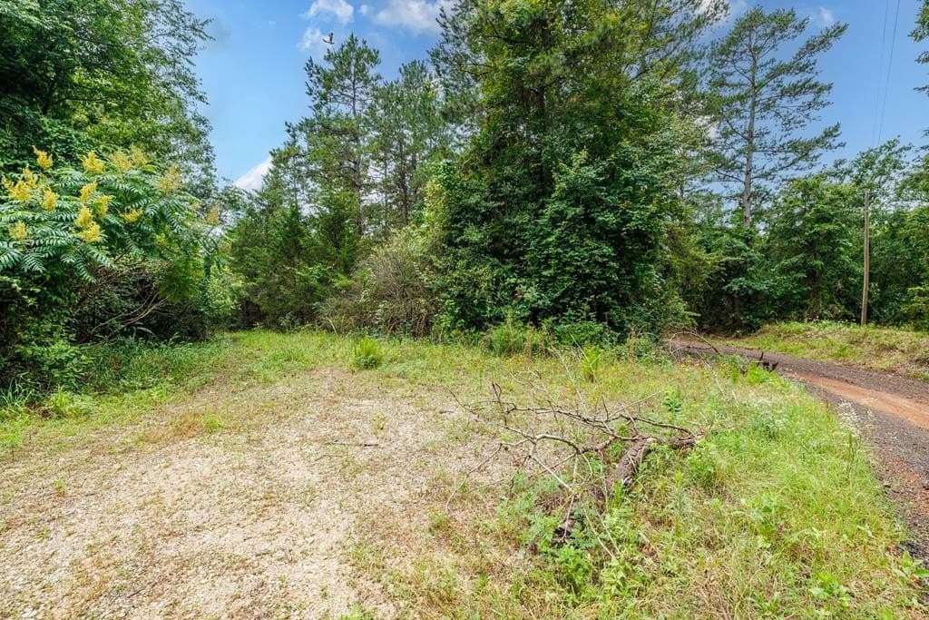 14.12 acres in Texas County - photo 6