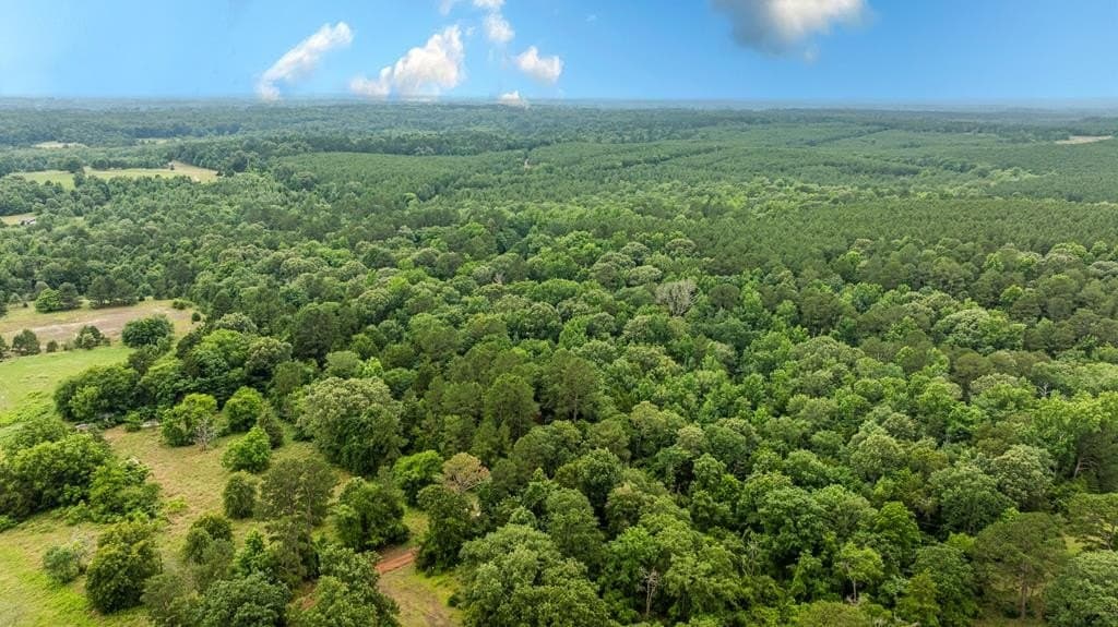 14.12 acres in Texas County - photo 10