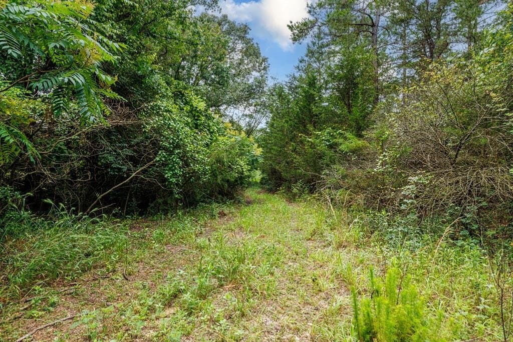 14.12 acres in Texas County - photo 7