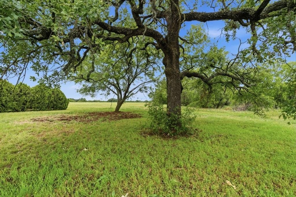 11 acres in Callahan County gallery image 4