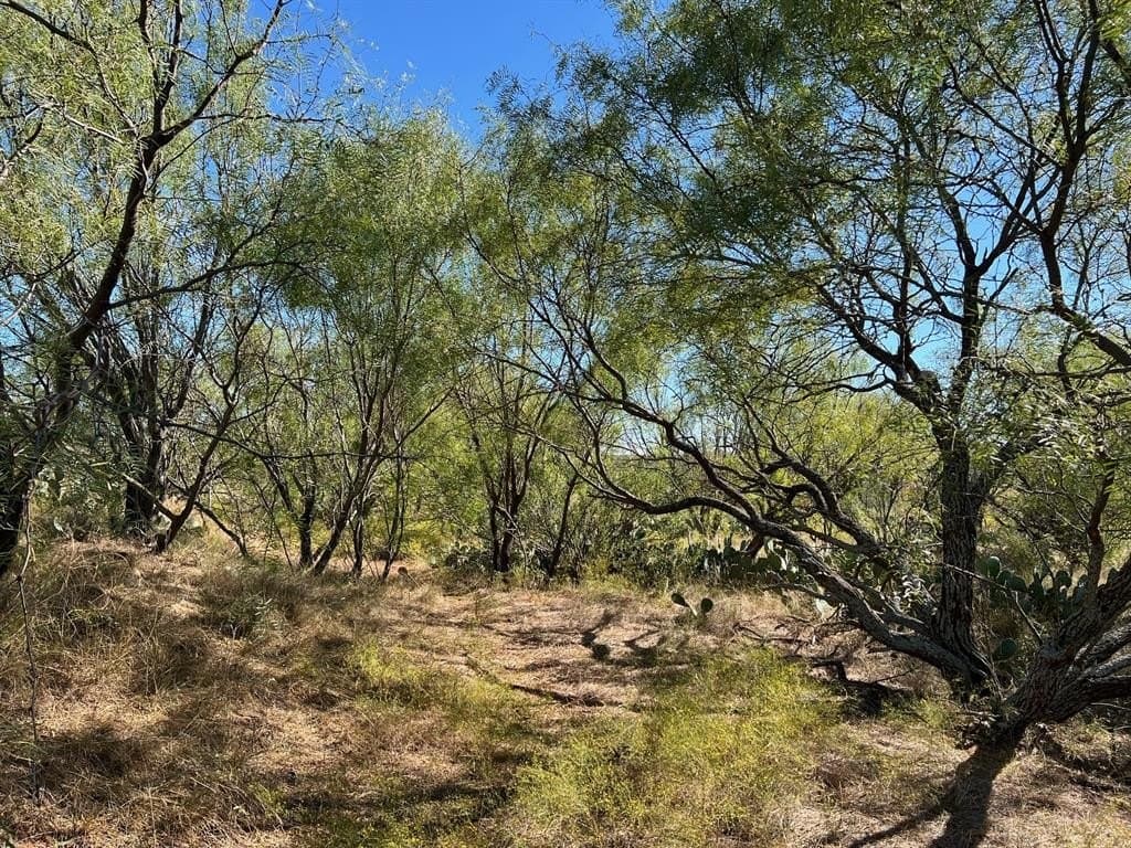 132.5 acres in Young County featured view