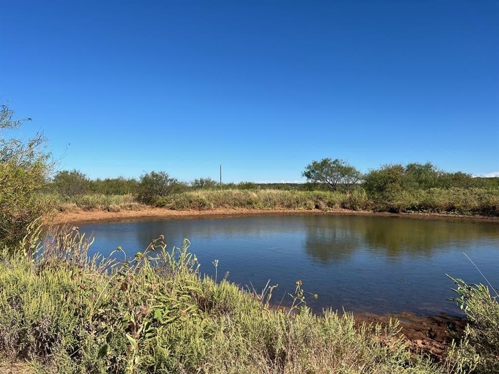 132.5 acres in Young County gallery image 3