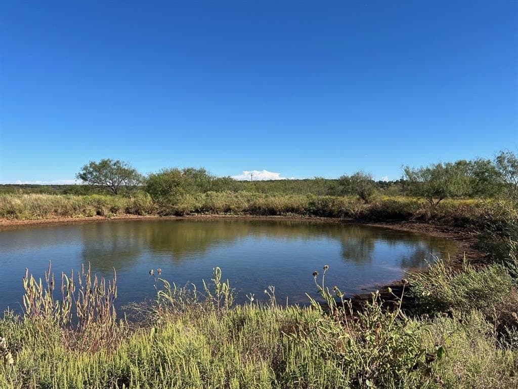 132.5 acres in Young County gallery image 2