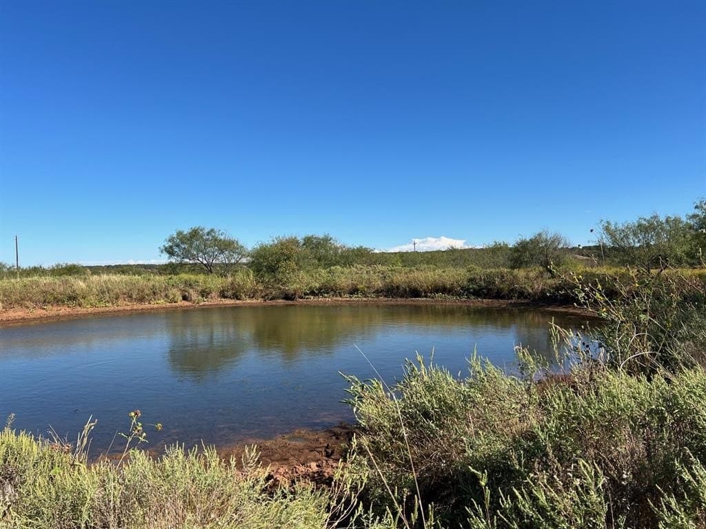 132.5 acres in Young County gallery image 4