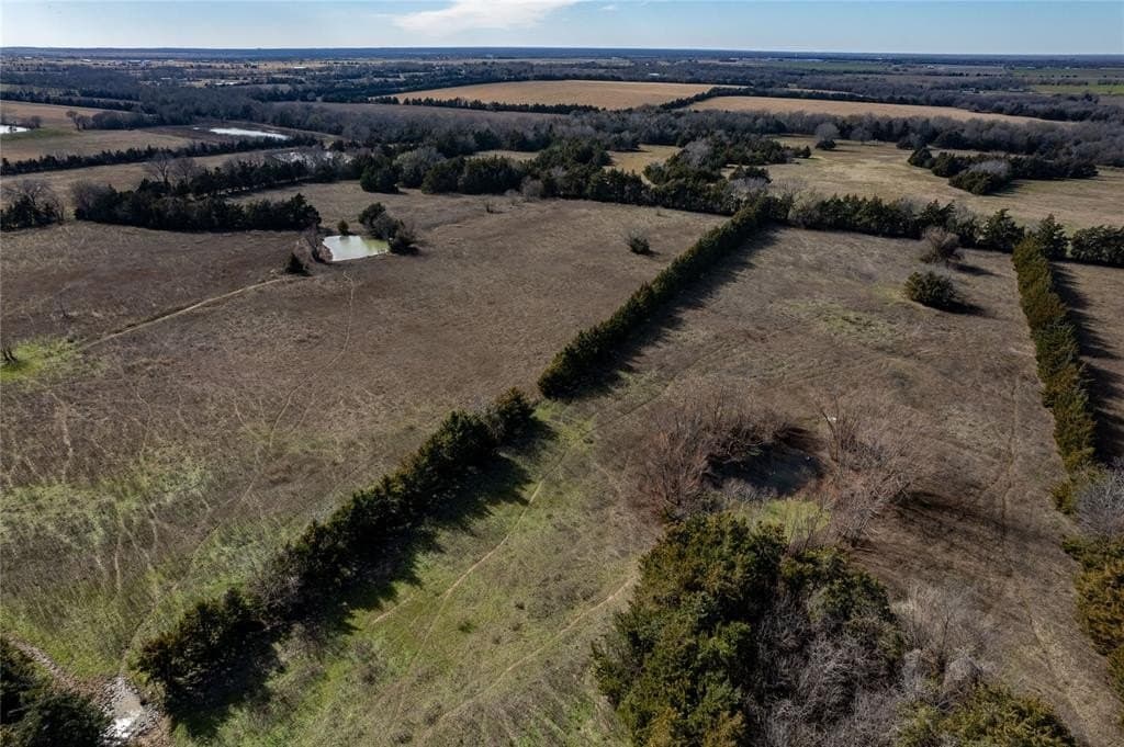 25.5 acres in Lamar County gallery image 4