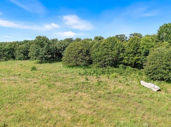 19.94 acres in Cooke County gallery image 4