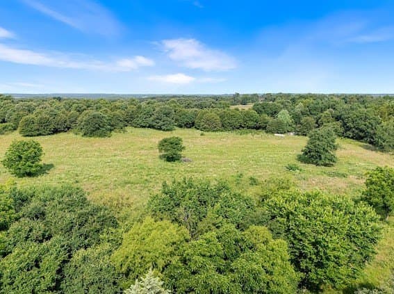19.94 acres in Cooke County featured view