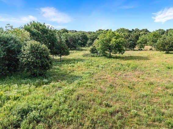 19.94 acres in Cooke County gallery image 2