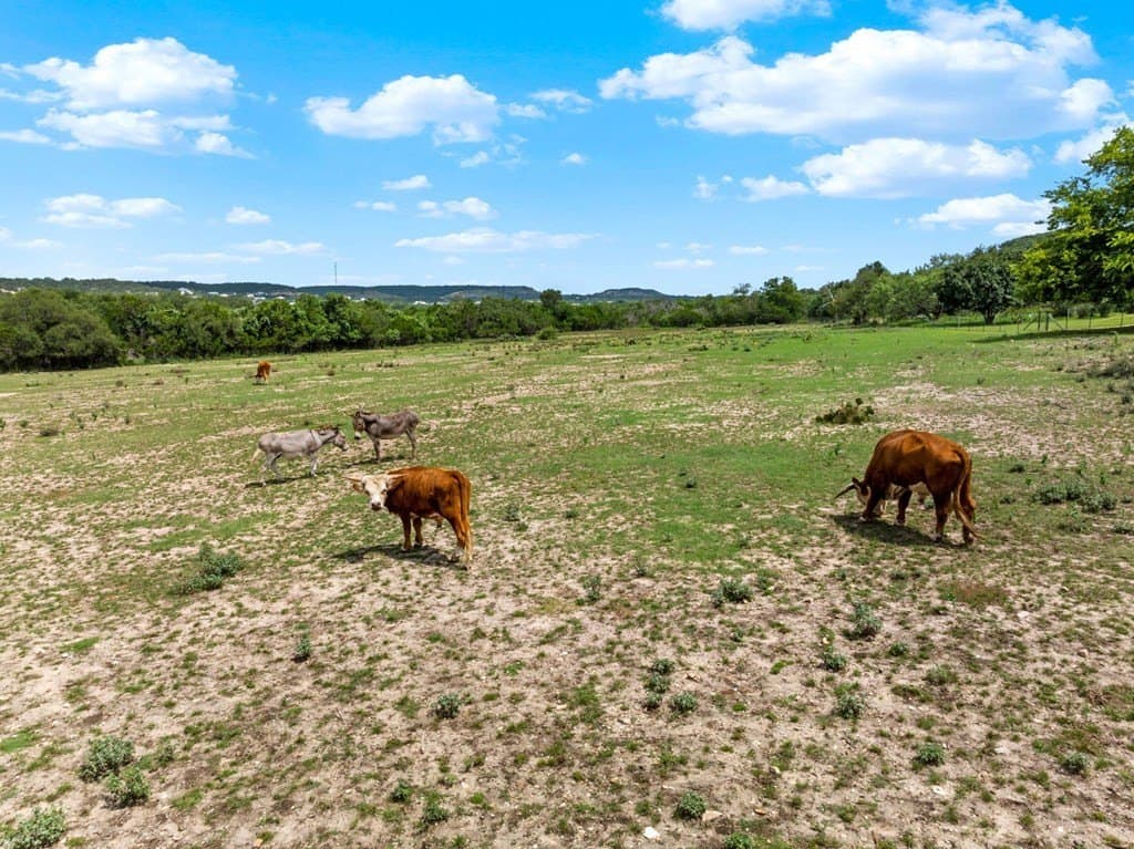 12.09 acres in Gillespie County - photo 47
