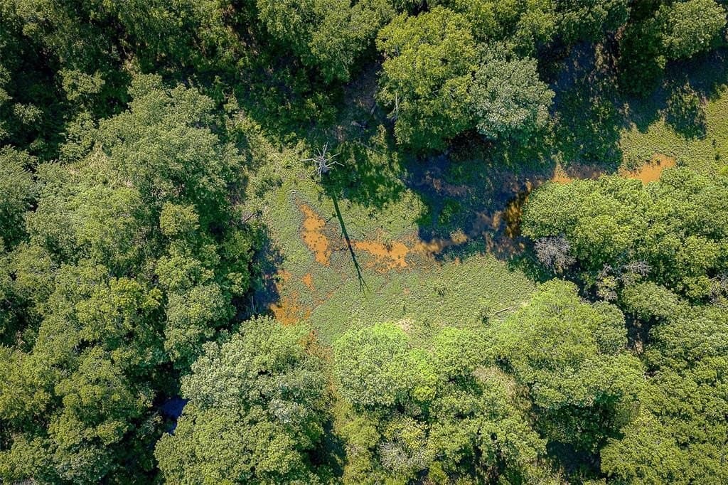 245.6 acres in Cherokee County gallery image 4